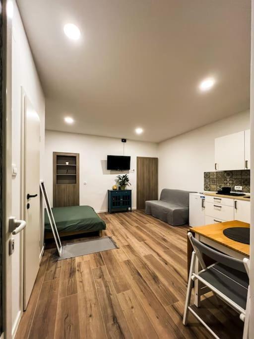 Studio Apartment Joanna Ριέκα Εξωτερικό φωτογραφία