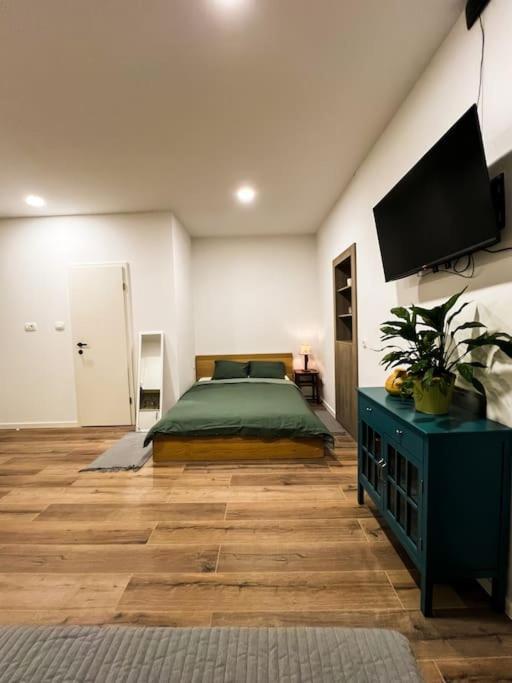 Studio Apartment Joanna Ριέκα Εξωτερικό φωτογραφία